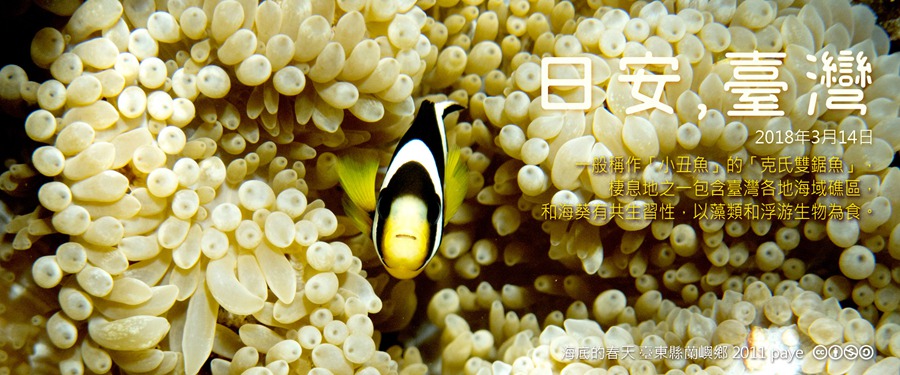 365 日安，臺灣之2018年3月14日